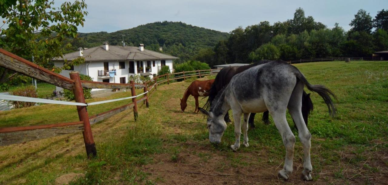 RueglioFavetto Family Ranch住宿加早餐旅馆 外观 照片