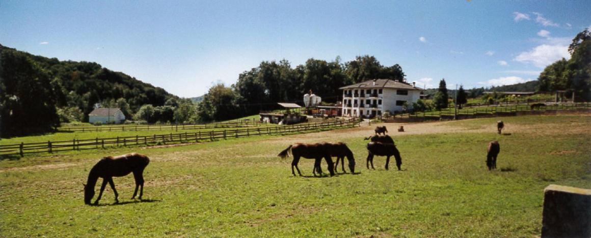 RueglioFavetto Family Ranch住宿加早餐旅馆 外观 照片