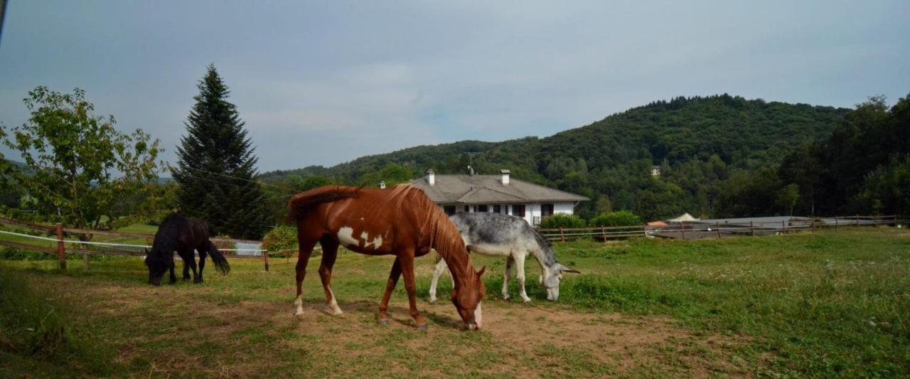 RueglioFavetto Family Ranch住宿加早餐旅馆 外观 照片