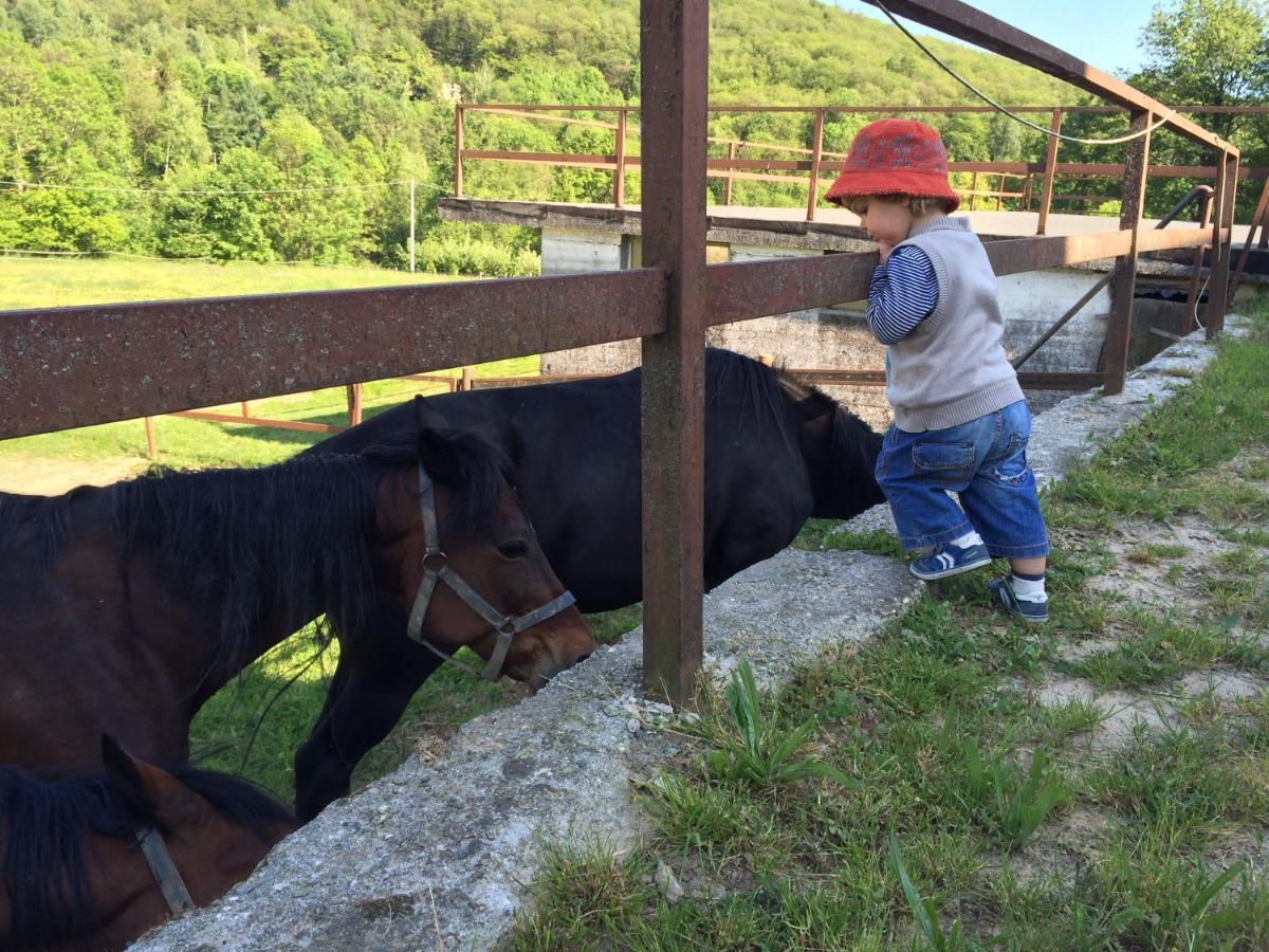 RueglioFavetto Family Ranch住宿加早餐旅馆 外观 照片